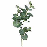 Eucalyptus vetvika 64 cm, 1 ks