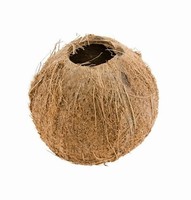 Kokosov orech dekoran 11 cm