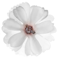 Kvety umel biele 4,5 cm 12 ks
