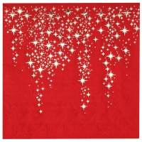 Servtky papierov Hviezdy erven 33x33 cm, 10 ks