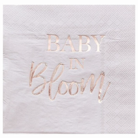 Servtky papierov Baby in Bloom 32 x 32 cm, 16 ks