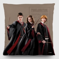 Dekoratvny vankik Harry Potter | 40 x 40 cm | CND 3155 - 410