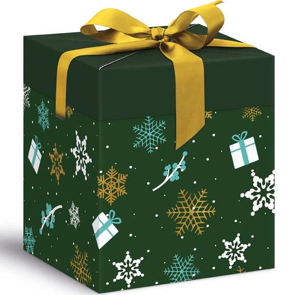 Krabička dárková vánoční zelená 12x12x15cm
