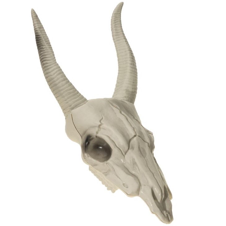 Lebka dekoračná, byvol 15,5 cm x 14 cm x 40 cm