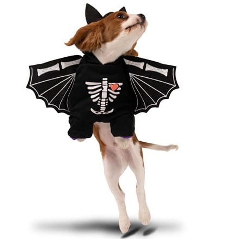 Psí kostým Netopier 45x35 cm