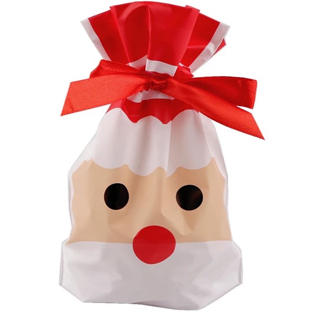 Sáček vánoční se stuhou Santa 12x17 cm 1 ks