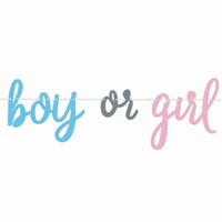 BANNER Boy or Girl 213cm