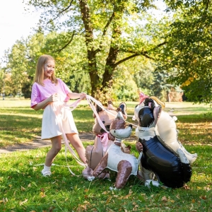 Balónek fóliový stojací Border kolie s čepicí 76x92cm