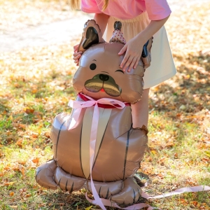 Balónek fóliový stojací Bulldog s kloboukem 60x98cm