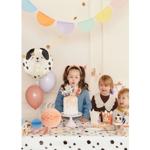 Balónek fóliový HB pejsek 35x35 cm