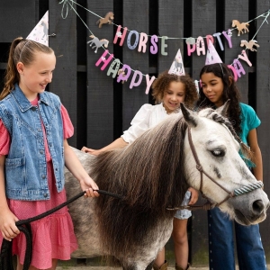 Čepičky papírové Koně 6 ks