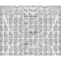 Dekorativn zvs Hvzdy metalick stbrn 100x200 cm