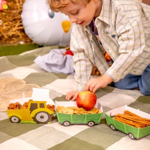 Krabičky na popcorn Farma 3 ks