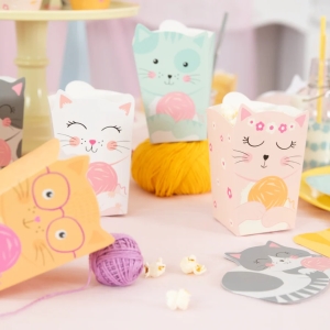 Krabičky na popcorn Kočky 6 ks