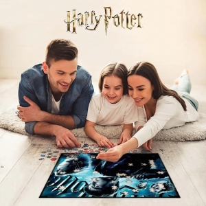 Puzzle 3D Harry Potter 300 dlk