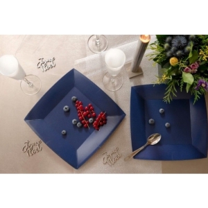 Tale hranat Royal Blue 23 x 23 cm 10 ks