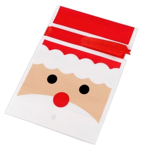 Sáček vánoční se stuhou Santa 12x17 cm 1 ks