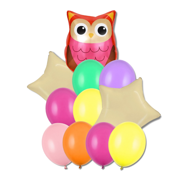 Balónkový buket - Sovička 11ks