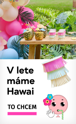 Hawaii party