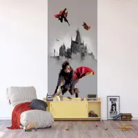 Detsk vliesov fototapeta na stenu Harry Potter Famfrplov Trio | 150 x 270 cm | FTD2P 5613 - 411
