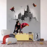Detsk vliesov fototapeta na stenu Harry Potter Famfrplov Trio | 300 x 270 cm | DTD4P 5095 - 411