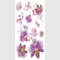 Samolepka na stenu Orchidey | 42.5 x 65 cm | SM 3440